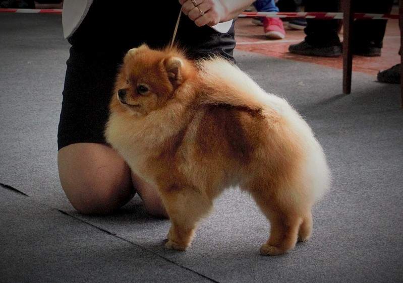 1920 X 1349 527.6 Kb 1603 X 2221 576.8 Kb 11  2015.   . .