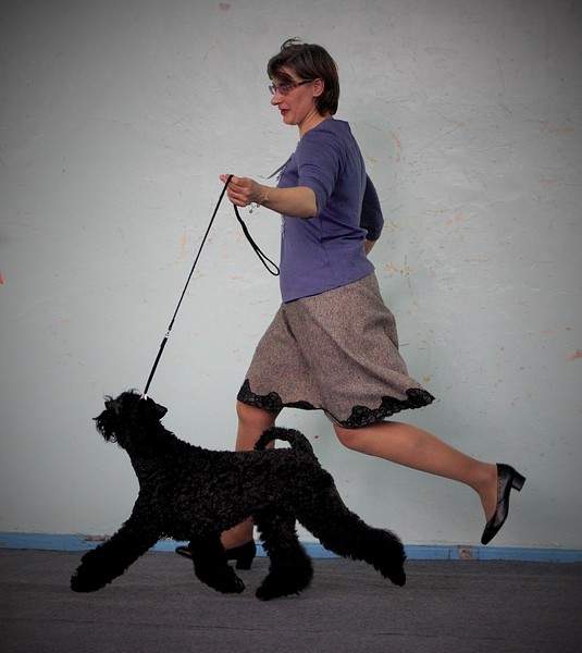 1920 X 2153 552.3 Kb 1920 X 2490 952.7 Kb 1920 X 2112 591.2 Kb 11  2015.   . .