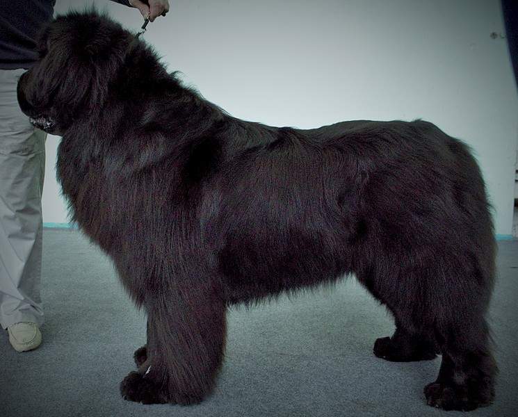 1920 X 1545 700.5 Kb 11  2015.   . .