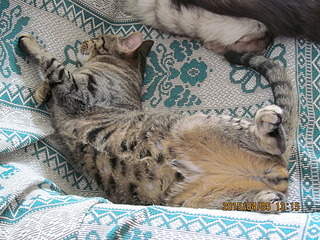 1920 X 1440 974.9 Kb   - , , .