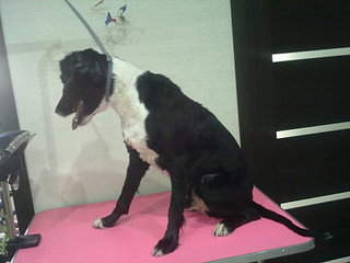 1920 X 1440 250.6 Kb  