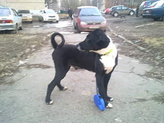 1920 X 1440 432.9 Kb 1920 X 1440 250.6 Kb  