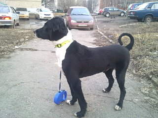 1920 X 1440 483.6 Kb 1920 X 1440 432.9 Kb 1920 X 1440 250.6 Kb  