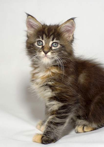 1920 X 2698 779.5 Kb -  -!