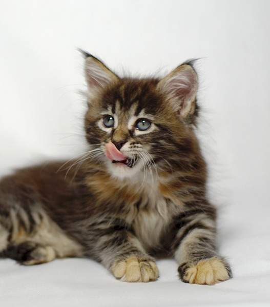 1920 X 2183 527.9 Kb 1920 X 2698 779.5 Kb -  -!