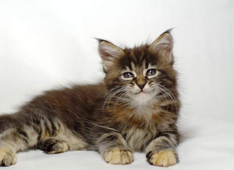 1920 X 1393 352.2 Kb 1920 X 2183 527.9 Kb 1920 X 2698 779.5 Kb -  -!