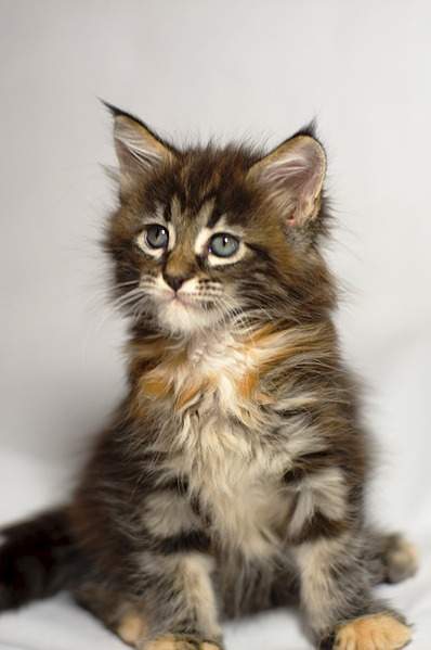 1920 X 2889 644.3 Kb 1920 X 1393 352.2 Kb 1920 X 2183 527.9 Kb 1920 X 2698 779.5 Kb -  -!