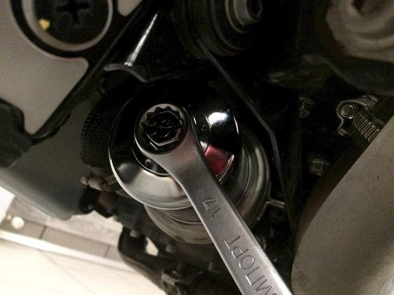 1920 X 1440 501.8 Kb     ( Madhead Buckle S8P)