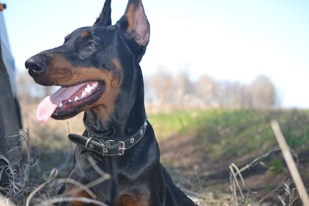 604 x 403 604 x 403 604 x 403     