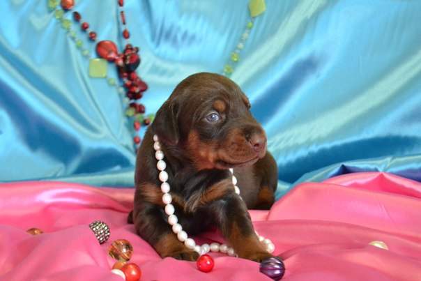 604 x 403 604 x 403 604 x 403 604 x 403     