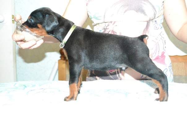 604 x 403 604 x 403 604 x 403     