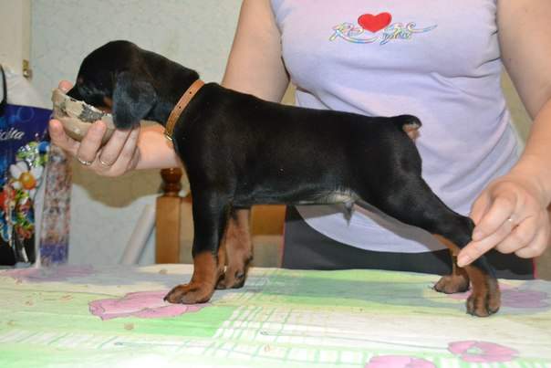 604 x 403 604 x 403 604 x 403     