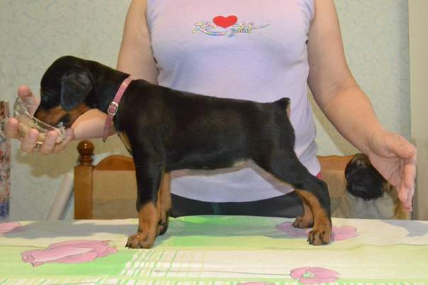 604 x 403 402 X 604  38.8 Kb 604 x 403 402 X 604  42.4 Kb     