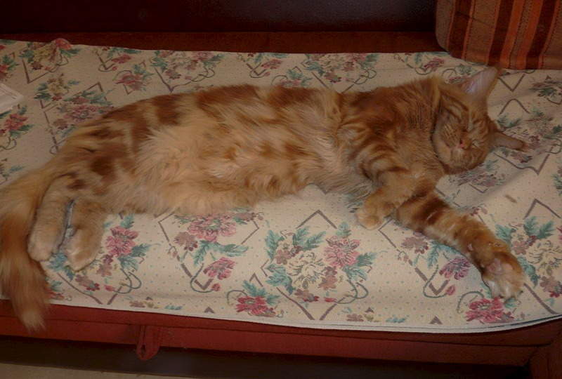 1194 X 806 181.5 Kb  -   . .