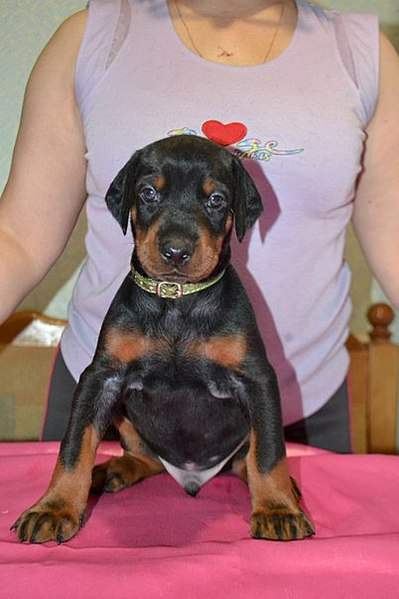 402 X 604  42.0 Kb 604 x 403 604 x 403 604 x 403     