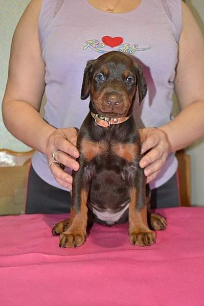 402 X 604  38.8 Kb 604 x 403 402 X 604  42.4 Kb     