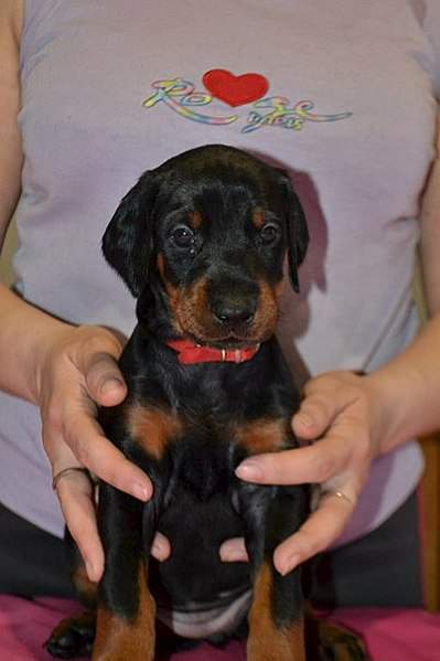 402 X 604  36.5 Kb 604 x 403 604 x 403     