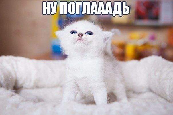 604 x 403 960 X 532  57.3 Kb Улыбнемся?