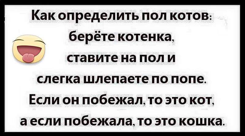 960 X 532  57.3 Kb Улыбнемся?