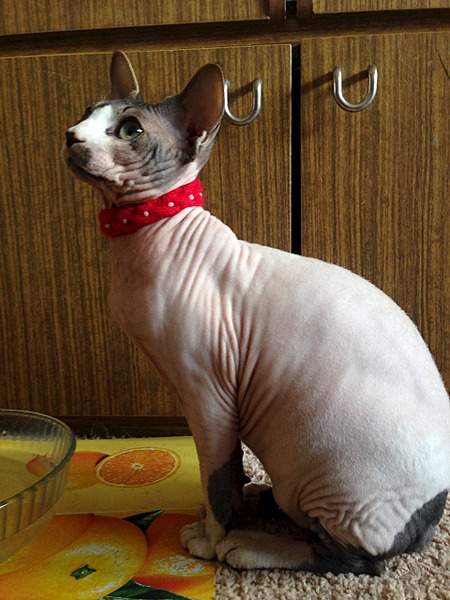 1920 X 2560 1008.1 Kb     !