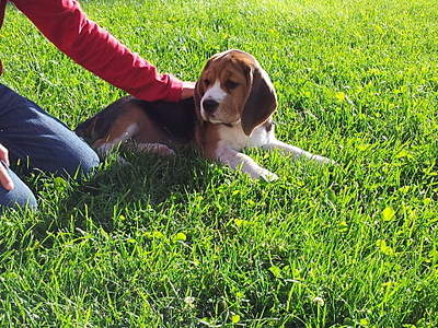 1920 X 1440 664.1 Kb 1920 X 1440 256.6 Kb 1920 X 1440 582.0 Kb 566 X 434 81.3 Kb     (, ,       )