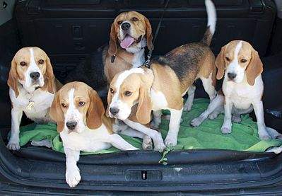 1920 X 1330 265.9 Kb 1920 X 1280 621.3 Kb 1920 X 1280 467.1 Kb     (, ,       )