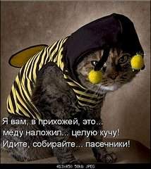 404 X 453  46.4 Kb |||     
