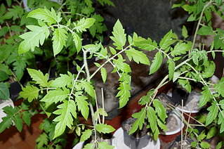 1920 X 1275 691.4 Kb 1920 X 1275 747.3 Kb  - , , , , -.