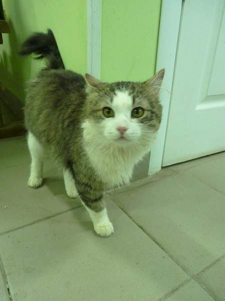 768 X 1024  96.5 Kb  -   ,   