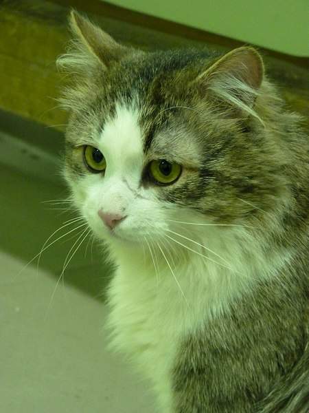 768 X 1024 135.2 Kb 768 X 1024  96.5 Kb  -   ,   