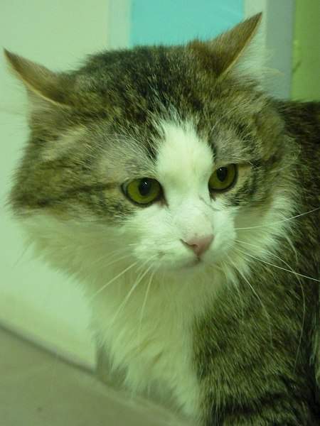 768 X 1024 123.6 Kb 768 X 1024 135.2 Kb 768 X 1024  96.5 Kb  -   ,   