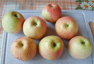 450 X 307  48.0 Kb 350 X 348  31.2 Kb    250 .