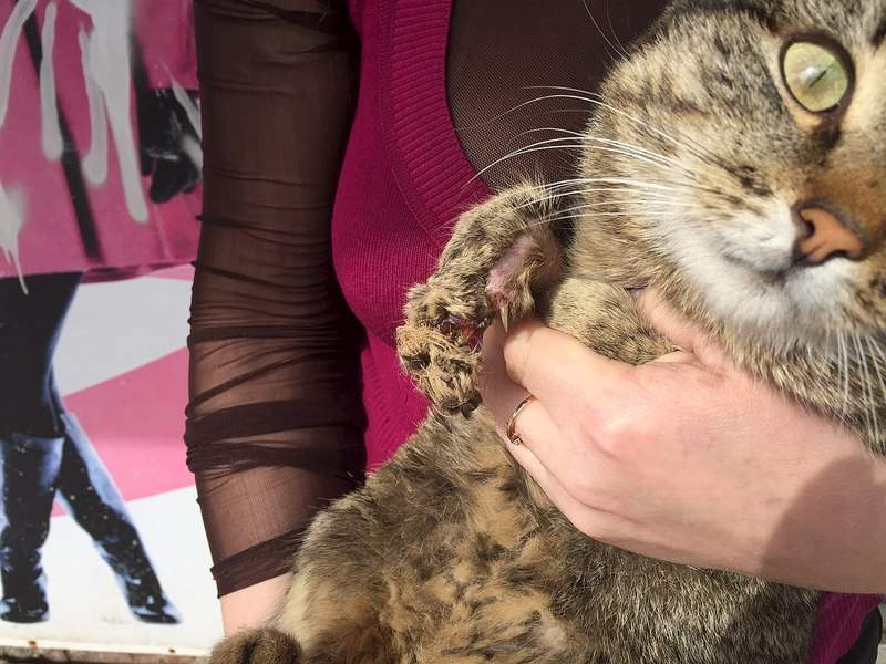 1280 X 960 257.0 Kb 1280 X 960 288.5 Kb  .   .