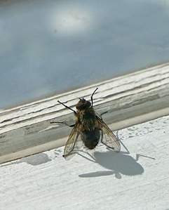 1422 X 1767 641.6 Kb   