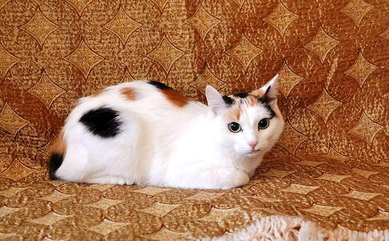 1920 X 1188 358.5 Kb     .