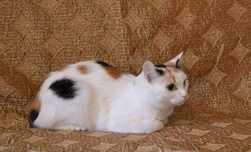 1920 X 1164 287.2 Kb     .