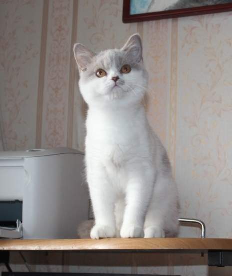 464 x 551 404 x 525 777 X 768 50.8 Kb 523 X 647 134.2 Kb 464 x 563  !