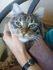 1536 X 2048 395.7 Kb     !