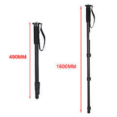 1110 X 1110 118.7 Kb  