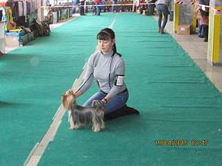 1600 X 1200 480.6 Kb 1600 X 1200 500.7 Kb 1600 X 1200 537.7 Kb 19 апреля Выставка собак Чемпионат РКФ