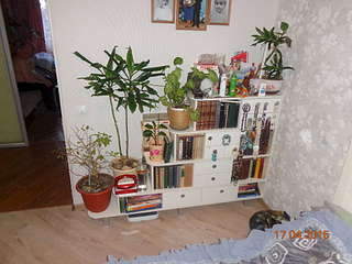 1920 X 1440 265.2 Kb 1920 X 1440 295.7 Kb   , 