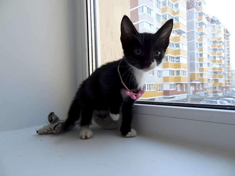 1920 X 1440 193.2 Kb      