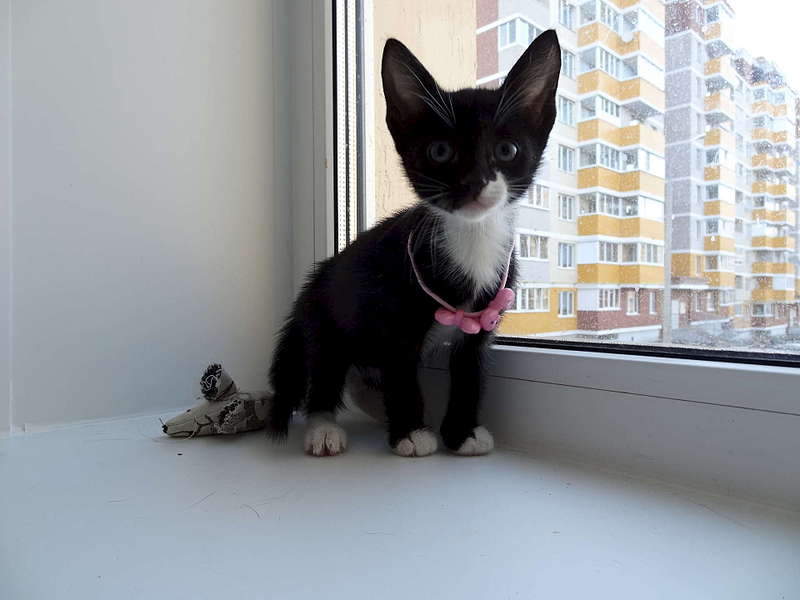 1920 X 1440 193.1 Kb 1920 X 1440 193.2 Kb      