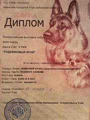 1936 X 2592 418.3 Kb 1936 X 2592 411.2 Kb 19 апреля Выставка собак Чемпионат РКФ