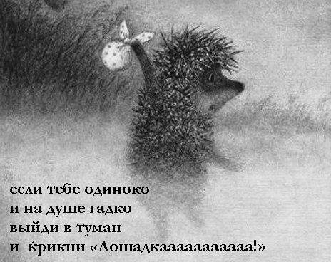 464 x 368 Конный клуб 'Ранчо Бодья' приглашает :
