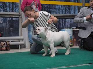 1920 X 1440 267.8 Kb 19     