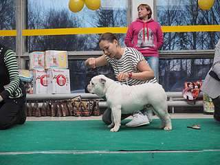 1920 X 1440 297.9 Kb 1920 X 1440 267.8 Kb 19     