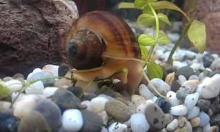 1920 X 1148 215.9 Kb 1920 X 1148 236.5 Kb   50  ()