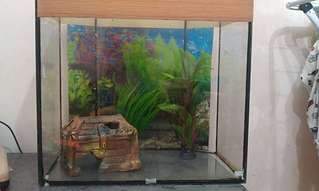 1920 X 1148 156.4 Kb 1920 X 1148 215.9 Kb 1920 X 1148 236.5 Kb   50  ()