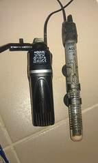 1952 X 3264 436.9 Kb 1952 X 3264 493.6 Kb 1920 X 1148 156.4 Kb 1920 X 1148 215.9 Kb 1920 X 1148 236.5 Kb   50  ()